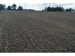 Property photo 101 - EHLE FARMS AUCTION - 118+/- ACRES IN 9 TRACTS IN ALLEN COUNTY, INDIANA